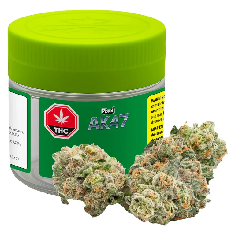 AK 47 Strain