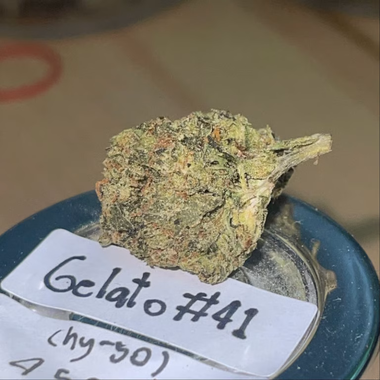 Gelato Strain