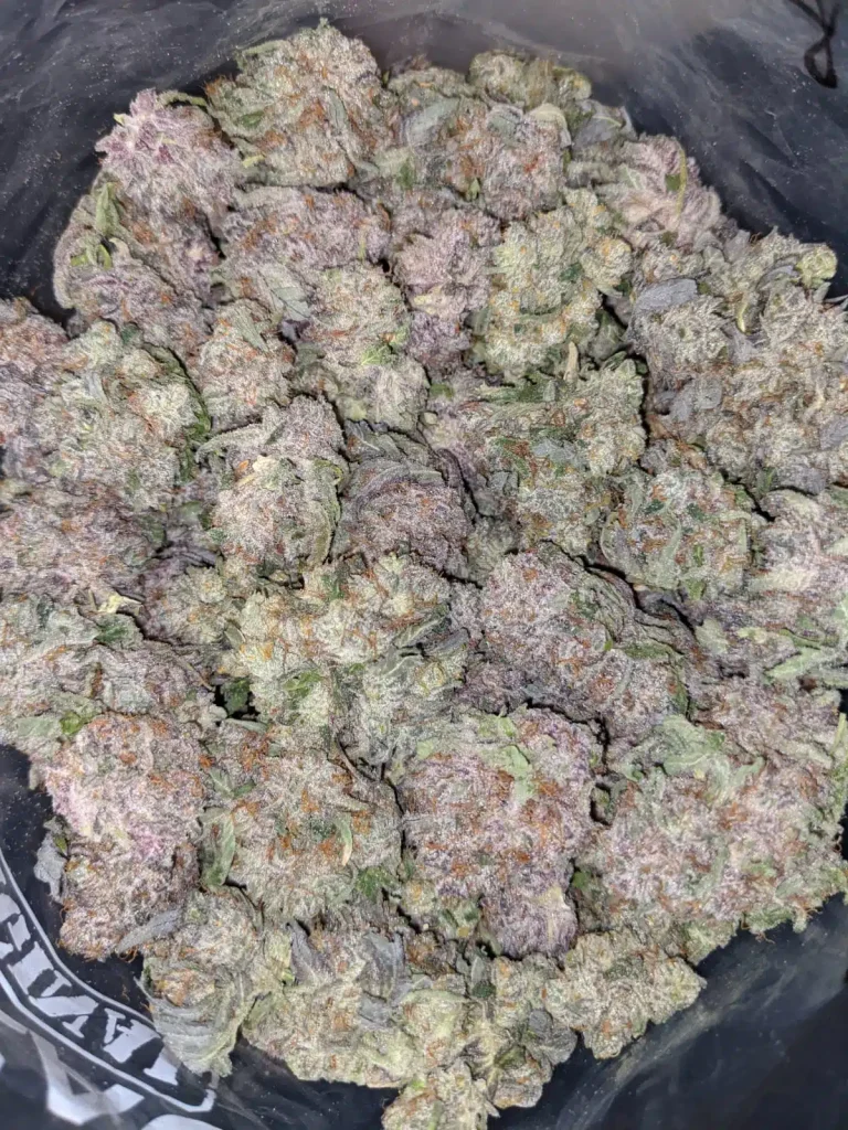 Grandaddy Purple Strain