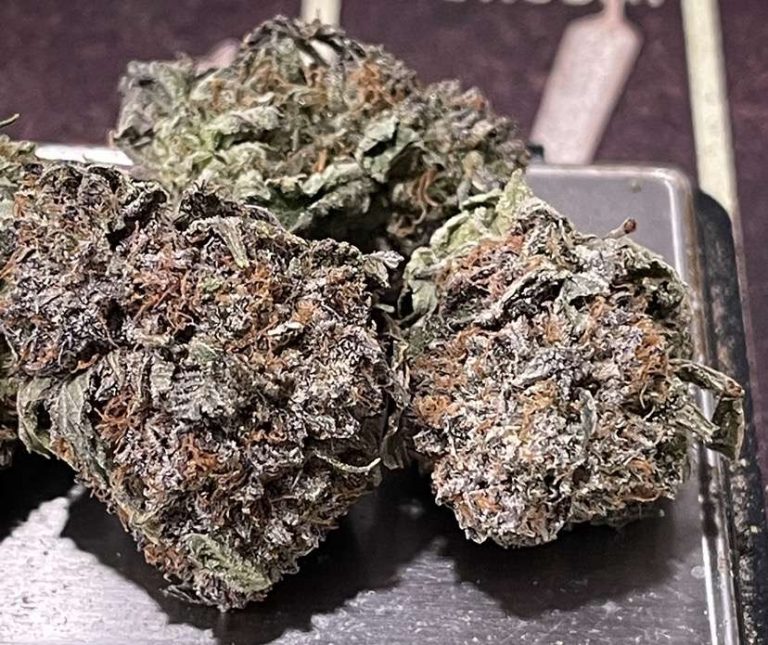 Purple Haze Strain