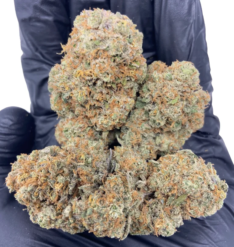 PurpleHazeIndoorCBDHempFlower_2048x2048