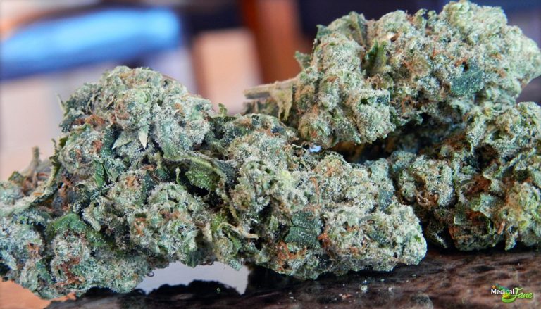 Northern Lights Strain