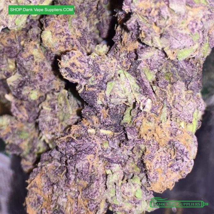 purple-haze-buy-purple-haze-online-the-420-gas-house