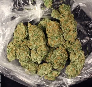 AK 47 Strain