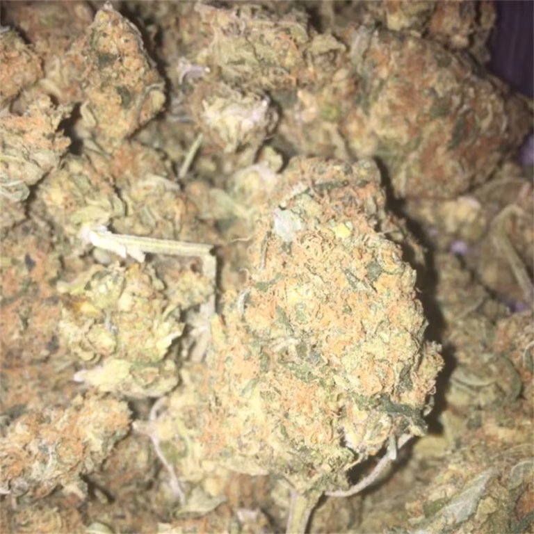 ak-47__primary_9179