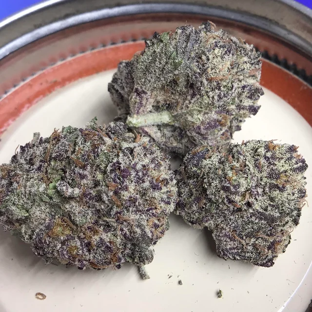cherry-pie-grand-daddy-purple-x-durban-poison-v0-zrw7qjnofpj71
