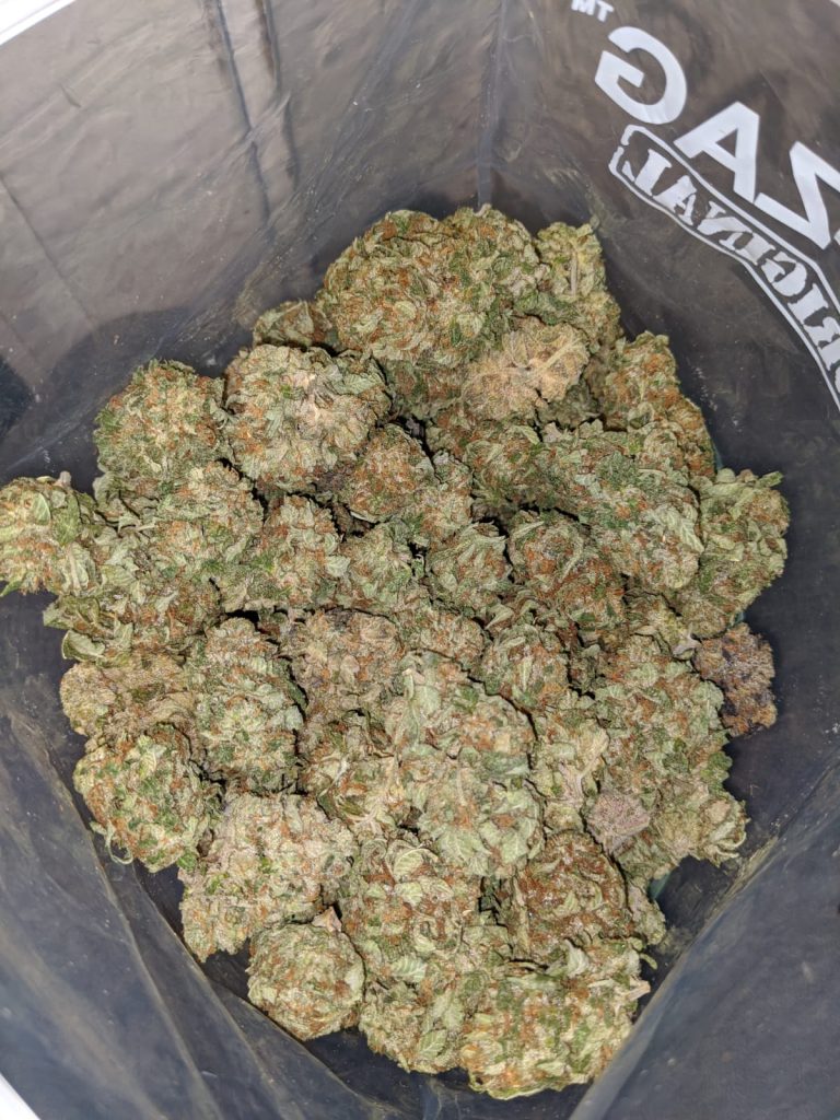 classic-og-kush-3