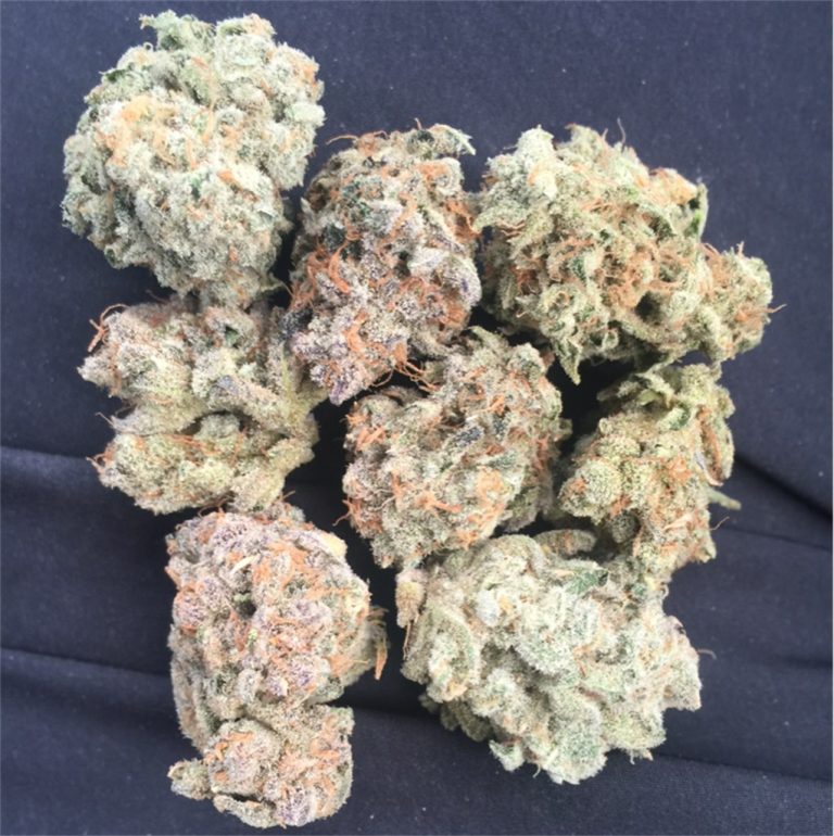Gelato Strain