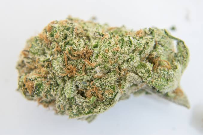 OG Kush