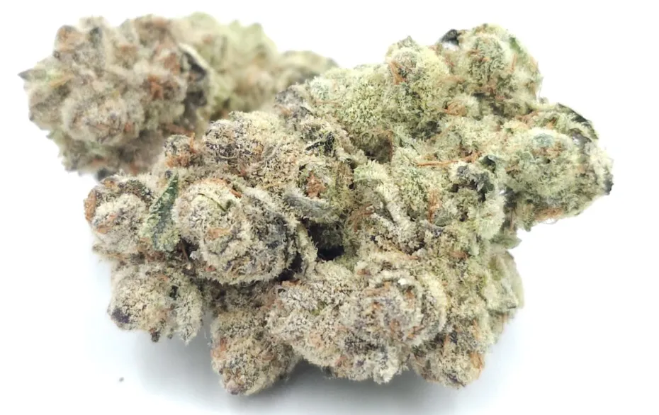 White Widow Strain