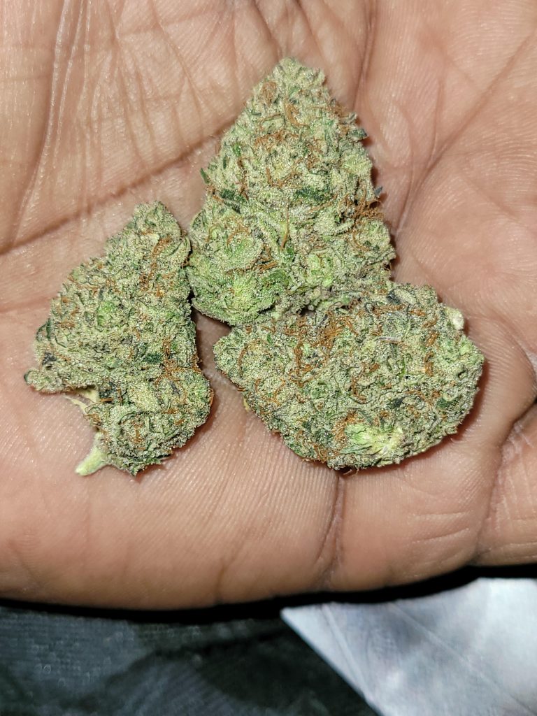 Blue Dream Strain