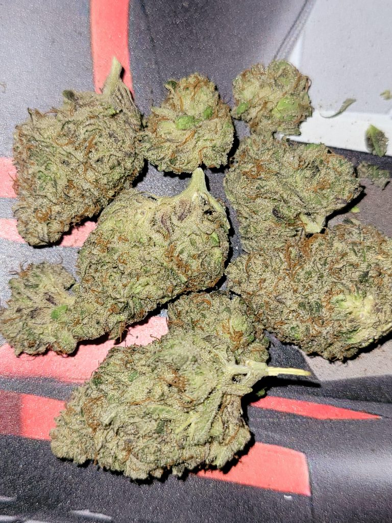 Blue Dream Strain
