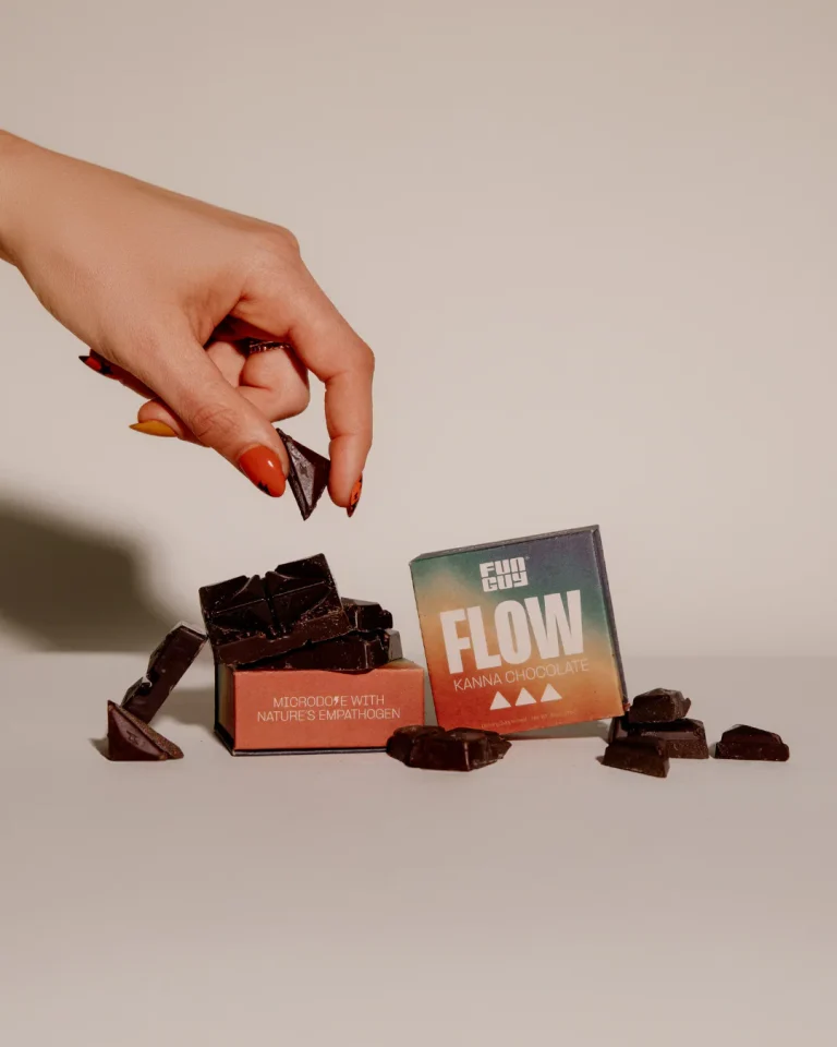 Funguy Mushroom Chocolate