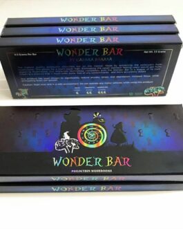 Wonder Mushroom Bar