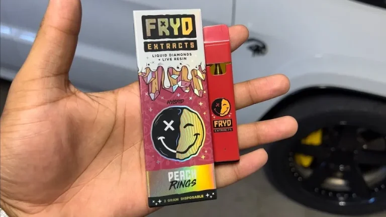 Fryd Disposable