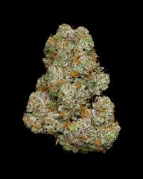 Girl Scout Cookies Strain